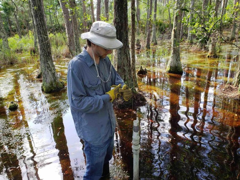 A student in a wetland transferring data from a pressure transducer.