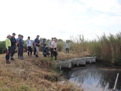 Group of 2023 Climate Adaptation Science Retreat participants observing water control structure