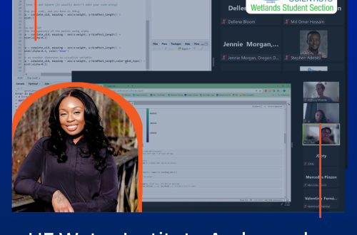 UF Water Institute Ambassador Alexis Jackson helps plan a virtual conference.