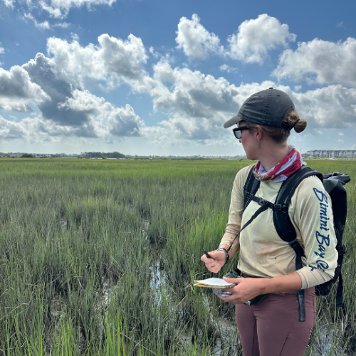 Emory Wellman overlooking a field.