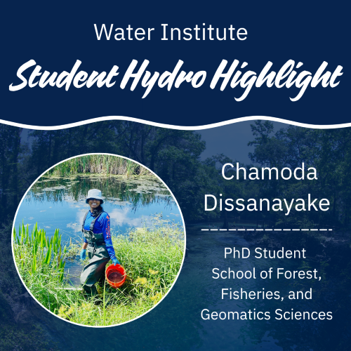 Hydro Highlight featuring Chamoda Dissanayake.