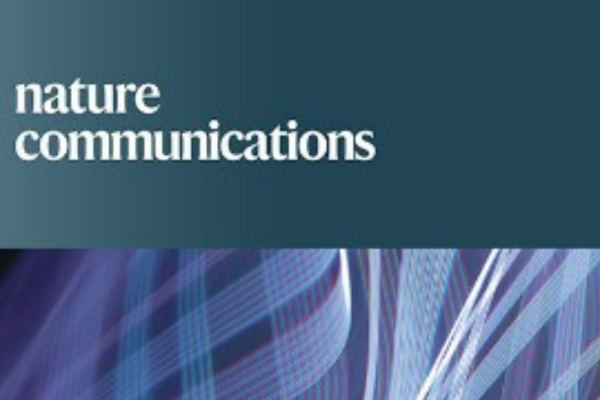 2025_kc Overcoming the Reactivity-Stability Challenge in Water Treatment Catalyst through Spatial Confinement