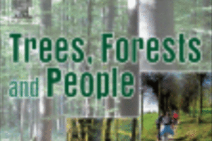 2025_fa june Dormant season submergence as a predictor of forest seedling survival in a connected floodplain
