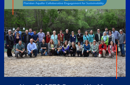 Image of the FACETS project team with the title 