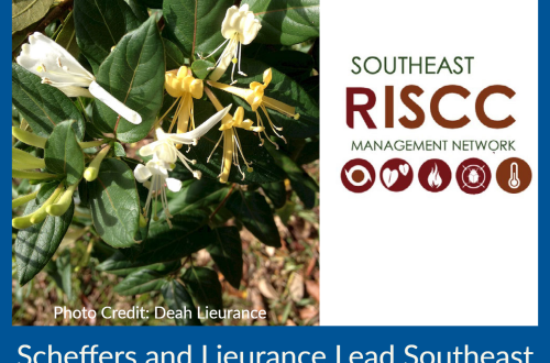 Scheffers and Lieurance Lead Southeast Regional Invasive Species and Climate Change Mangement Network. Photo of lonicera japonica (japanese honeysuckle) taken by Deah Lieurance, and to the right Southeast RISCC Mangement Network's logo.
