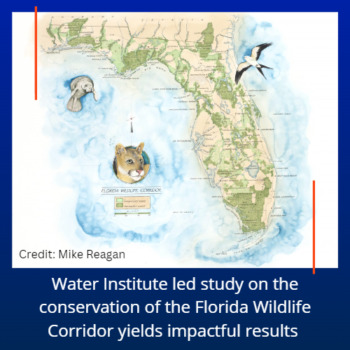 Water Institute led study on the conservation of the Florida Wildlife Corridor yields impactful results. Featuring a watercolor painting by Mike Reagan of the Florida Wildlife Corridor.