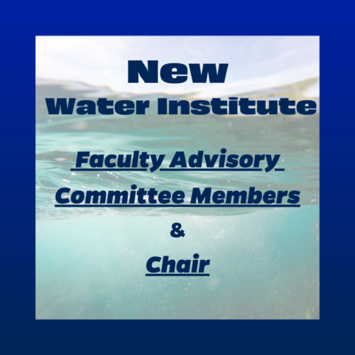 New Water Institute Faculty Advisory Committee and Chair
