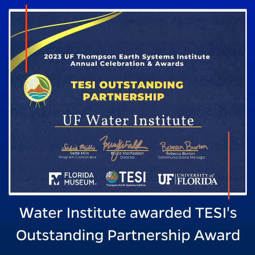 Photo of the TESI Outstanding Partnership Award. Water Institute awarded TESI's Outstanding Partnership Award