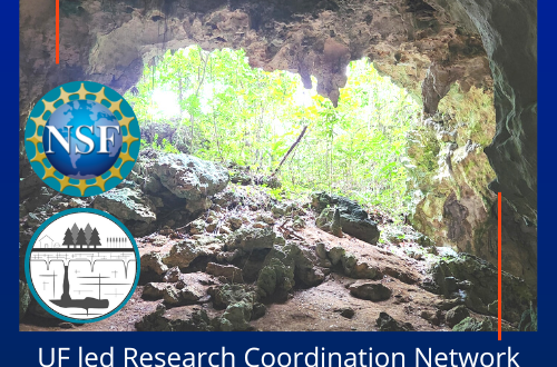 UF led Research Coordination Network publishes review paper on Carbonates in the Critical Zone. Photo of a cave and the NSF and RCN logos.