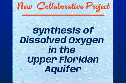 The Water Institute has a new collaborative project titled “Synthesis of Dissolved Oxygen in the Upper Floridan Aquifer”